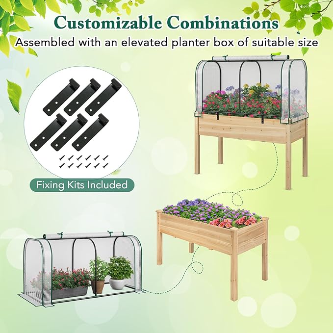 Toolsempire Raised Garden Bed with Greenhouse, Waterproof Sun-Protective Green House with Roll-Up Door & Electroplated Metal Frame, Fir Wood Elevated Planter Box with Drainage Holes(White+Natural)
