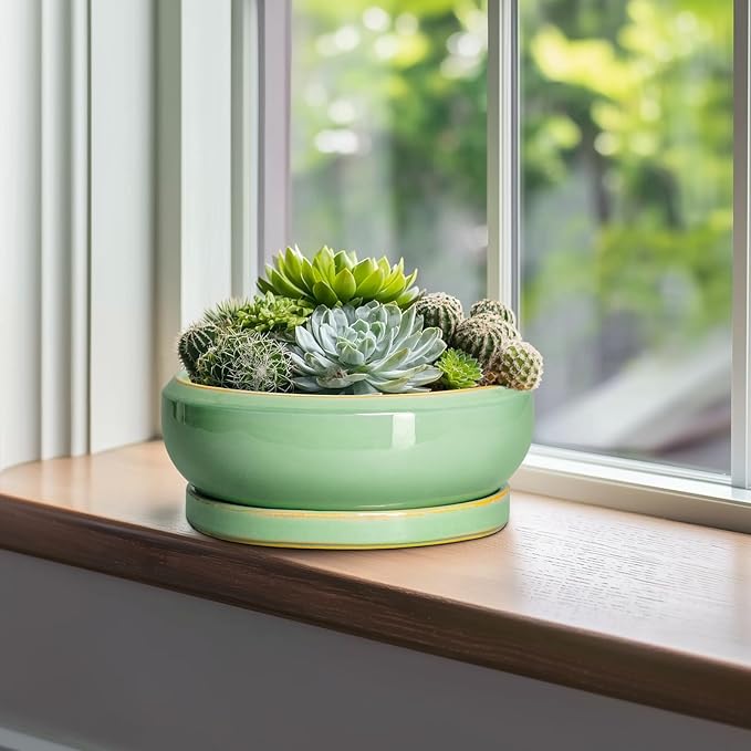 EPFamily 10 Inch Bonsai Tree Pots - Ceramic Succulent Pots with Drainage Hole and Tray, Shallow Planter for Indoor Outdoor Plants, Round Planters, House Decor, Gifts for Plant Lovers, Light Green