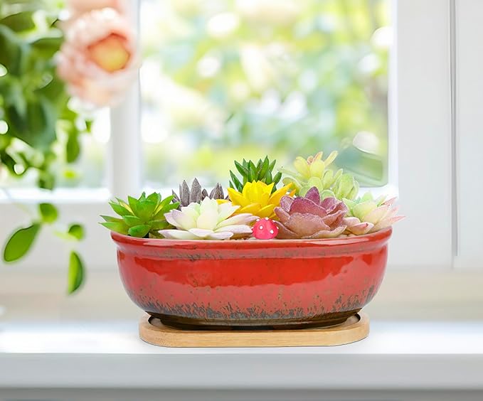 ARTKETTY Succulent Pots, 1 Rectangle Planter + 1 Ceramic Bonsai Pot with Drain Tray, 2 Pack Large Shallow Succulent Planters for Indoor Plants, Round Cactus Flower Plant Pot for Desk Windowsill Decor