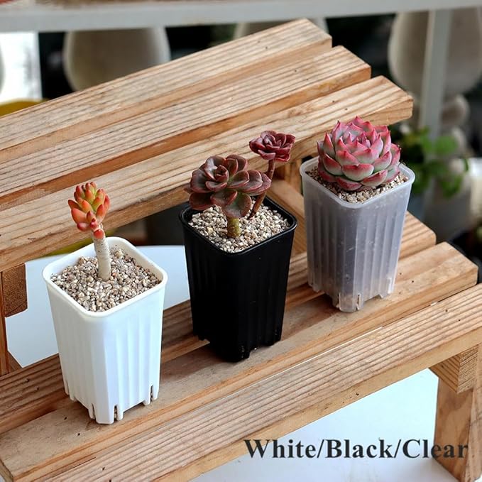 BangQiao 180 Pack 1.95 Inch Tiny White Plastic Square Nursery and Seedling Pot, Mini Deep Transplant Seed Starter Planter with Drain Hole for Germination, Herb, Succulent
