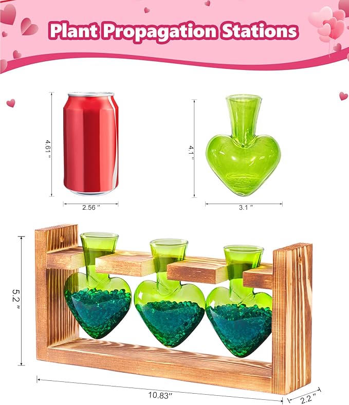 Nacome Plant Terrarium Propagation Stations: Valentines Day Gifts for Her Plant Lovers Women Mom Wife Daughter - 3 Bulb Glass Vase with Wooden Stand Tabletop for Hydroponics Indoor Home Decor(Green)