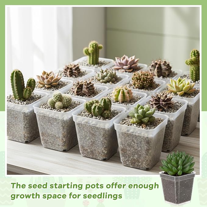 Yaomiao 200 Pack 3 Inch Clear Nursery Pot Square Flower Pots Plastic Plant Succulent Planter Seed Starting Pots with Drainage Holes for Garden Office Balcony Decor Indoor Outdoor Plant Seedling