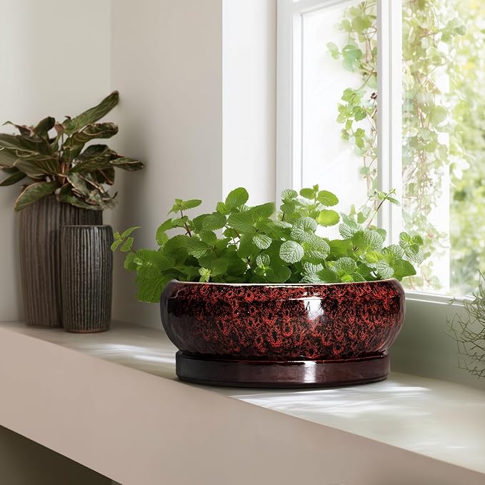 EPFamily Bonsai Pots with Drainage Hole - 13 Inch Ceramic Succulent Pots, Large Succulent Planter with Saucer, Shallow Planter Indoor Outdoor, Round Planter Bowl, Apartment Decor, Garden Gifts, Red