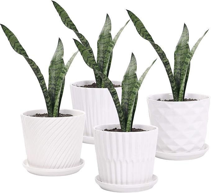 sietpoek Plant Pots - 5.5 Inch Cylinder Ceramic Planters with Connected Saucer, Pots for Succuelnt and Little Snake Plants, Set of 4, White
