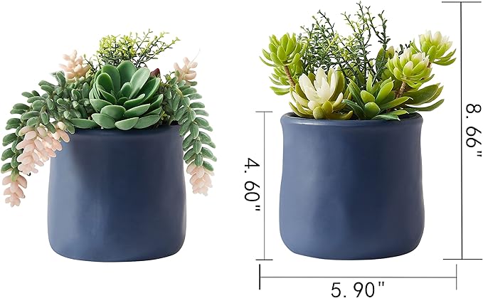 Artificial Succulent in Ceramic Pots, 2 Packs Large Faux Fake Plants Navy Blue for Desk,Office, Bedroom, Living Room, Bathroom Office Shelf Home Décor