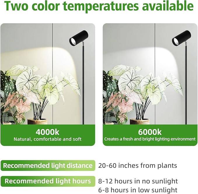 30W Full Spectrum Grow Light, 5000LM High PPFD&CRI COB LED Floor Lamp with 6/8/12H Timer, Adjustable Height (28"-83") & Angle, Grow Lights for Indoor Plants, Succulents & Flowers (6000K Daylight)