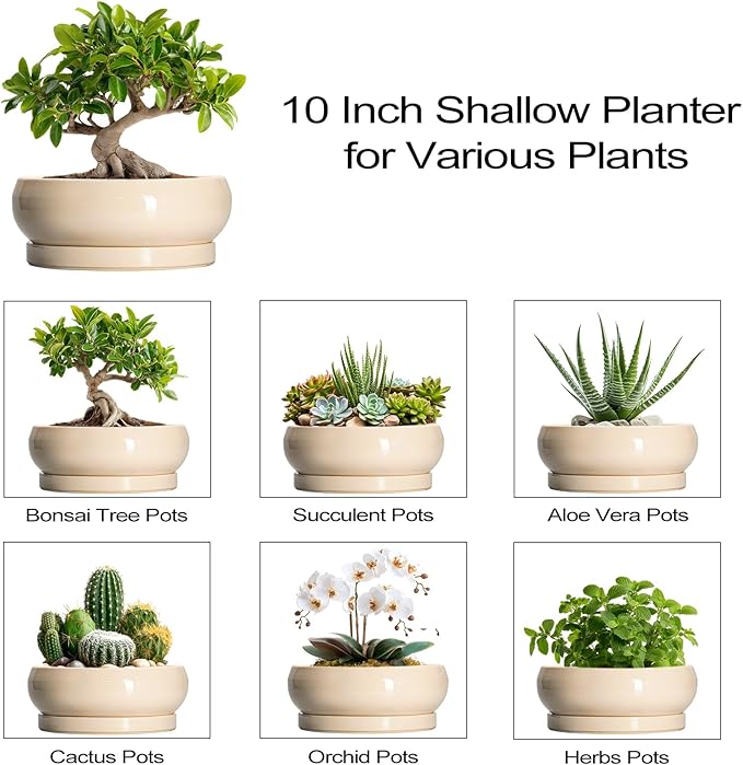 EPFamily Bonsai Pots - 10 Inch Ceramic Succulent Planters Indoor Outdoor, Bonsai Planters with Drainage Hole and Saucer, Round Shallow Planter, Bowl Planter, House Decor, Gifts for Plant Lover, Beige