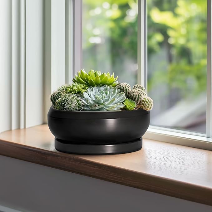 EPFamily Bonsai Pots 10 Inch - Ceramic Succulent Planters Indoor Outdoor, Bonsai Pots with Drainage Hole and Tray, Modern Shallow Planter, Round Bowl Planter, Garden Decor, Garden Gift, Black