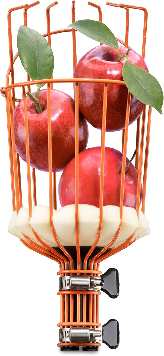 EXTEND-A-REACH Fruit Picker Basket Only // Twist-On Apple Picker Basket Only Fits Standard Acme Extension Pole // Fruit Tree Picker Tool for Orange Mango Avocado Lemon Pear (Pole Sold Separately)