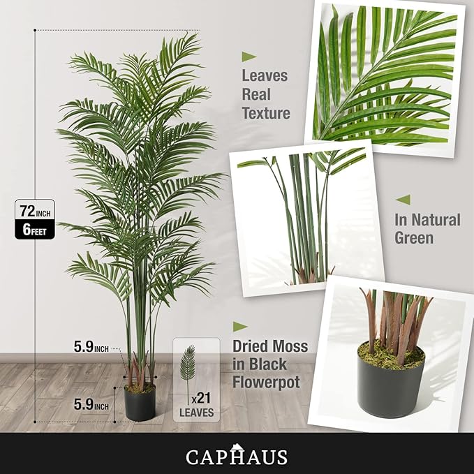 CAPHAUS 6FT Artificial Palm Tree Potted, Realistic Fake Palm Plant for Indoor & Outdoor, UV Resistant Low Maintenance Faux Tree for Home Office, Living Room, Covered Patio Decor