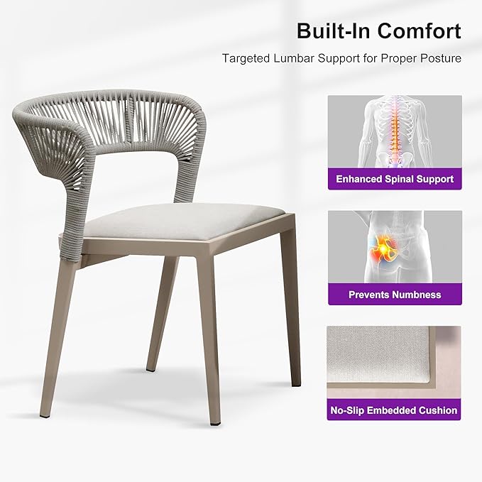 PURPLE LEAF 2 Pieces Outdoor Dining Chair All-Weather Rattan Wicker Aluminum Frame Patio Dining Chair for Lawn Garden Backyard Deck with Cushion, Champagne