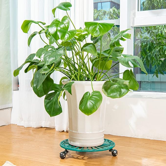 Sungmor Cast Iron Plant Caddy with Wheels, 2PC 14.8" Large & Heavy-duty Rolling Plant Stands, Pretty Garden Pots Tall Planter Dolly, Round Flower Pot Mover Metal Plant Pallet Trolley Tray with Casters