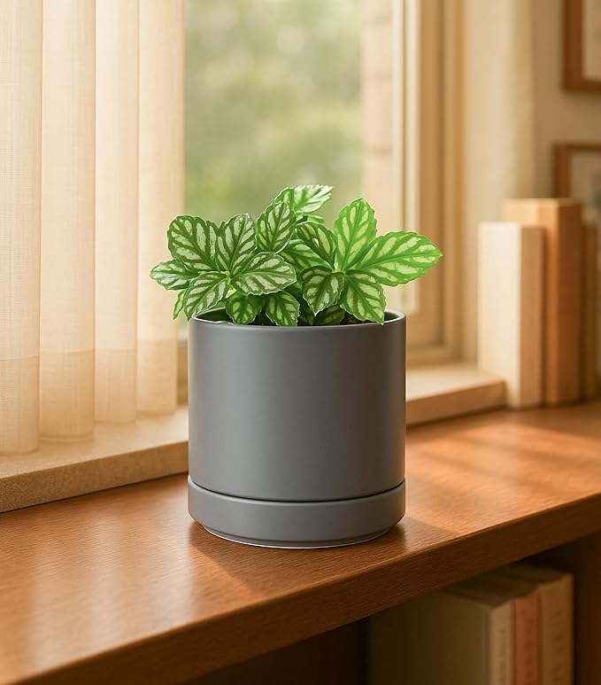 D'vine Dev 3 Inch & 4 Inch & 6 Inch, Set of 3 Round Ceramic Planter Pot with Drainage Hole and Saucer, Grey, 94-T-S-3