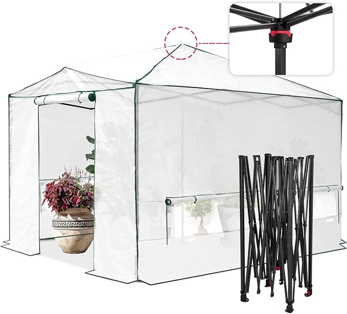 EAGLE PEAK Instant Pop-up Greenhouse, Indoor Outdoor Plant Gardening Green House, Roll-Up Zipper Doors & Side Windows - Winter Support Pole, Walk in 12x8 ft, White/Clear