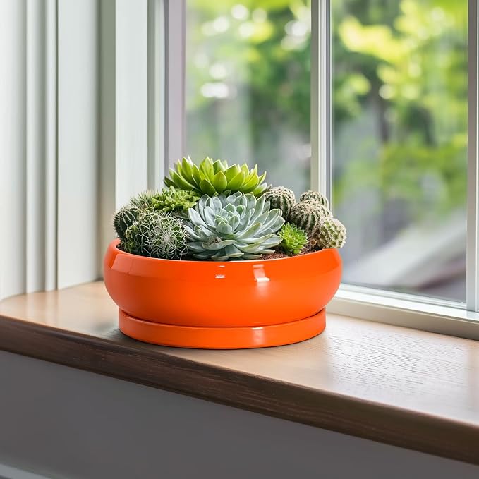 EPFamily Bonsai Tree Pots - 10 Inch Ceramic Pots for Succulent Indoor Outdoor, Bonsai Pot with Drainage Hole and Tray, Round Planter Bowl, Shallow Planter, Home Decor, Housewarming Gift, Orange