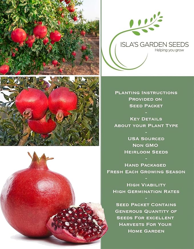 Pomegranate Tree Seeds (Punica granatum) – 30+ Non-GMO Fruit Tree Seeds for Planting, Beautiful Ornamental Tree with Sweet Edible Fruit, by Isla’s Garden Seeds, Gift Idea