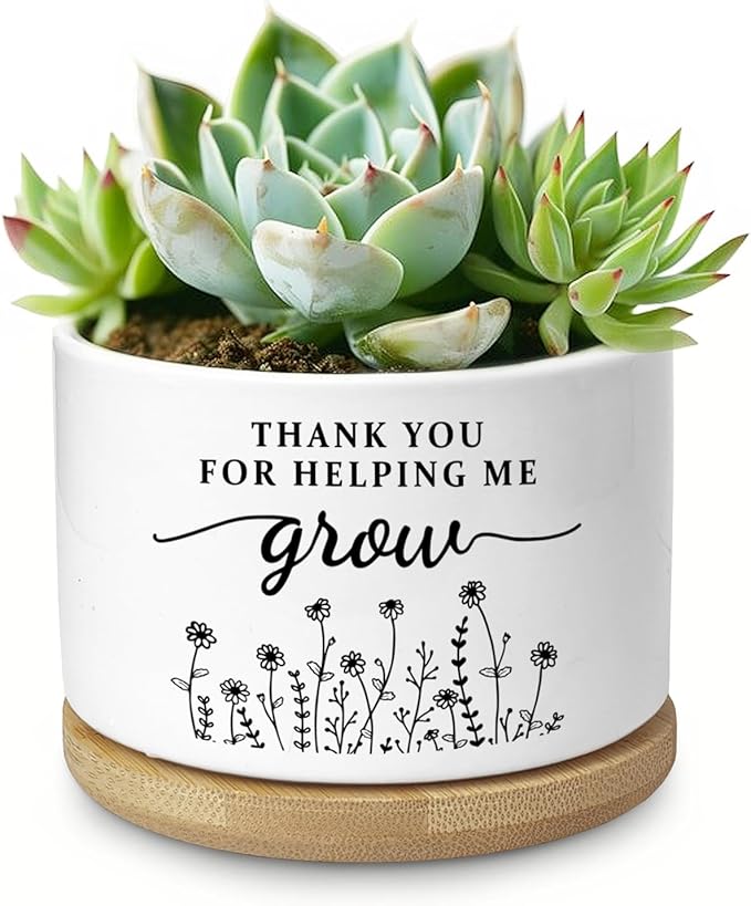 Aryabtya Thank You Teacher Appreciation Gift, Succulent Planter, Flower Cactus Plant Pot, Appreciation Gifts for Teachers Mom Women, Teacher Gifts Thank You for Helping Me Grow (No Plants)