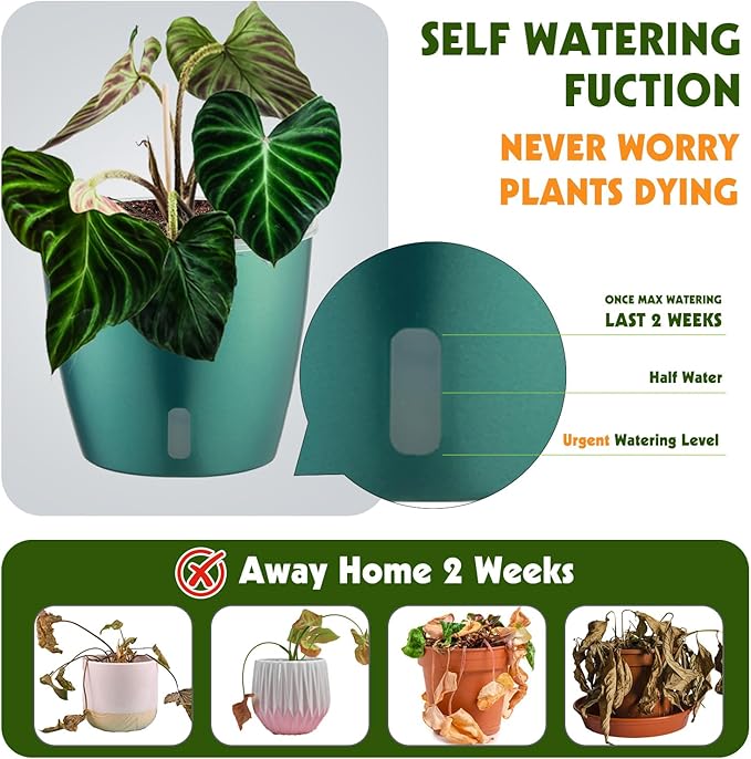 KvyusFlourish Self Watering Pots for Indoor Plants, 4-Pack 6.7'' Self Watering Planter with Drainage Holes, Small African Violet Pots with Water Indicator, Clear Wick Orchid Pot, Blue Gold