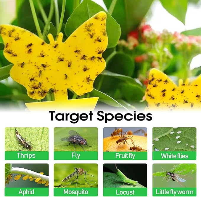 58 Pack Flying Insect Traps for Plants – Yellow Sticky Traps for Fungus Gnats, Flies & Flying Bugs, Indoor Outdoor Flying Bug Catcher for Pots, Garden & Kitchen, Non-Toxic, Odorless, Kid & Pet Safe