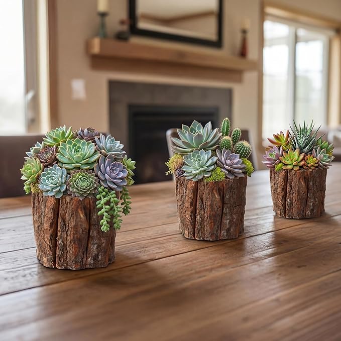 6 Pcs Wooden Vase for Centerpieces Woodland Table Decor Wooden Flower Vase Rustic Bark Stump Buckets Vintage Wood Planter Pots for Garden Party Wedding Window Home Farmhouse (Small)