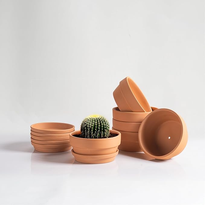HERDUK Shallow Terracotta Pots 5 inch, Pack of 6 Clay Pots for Plants with Drainage Holes and Saucers, Mini Nursery Plant Pots for Seed, Succulents, Cactus, Indoor,Outdoor