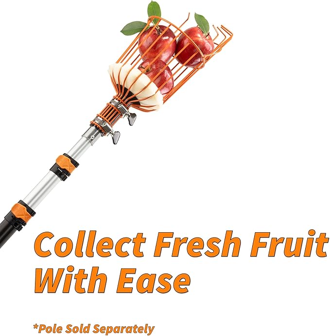 EXTEND-A-REACH Fruit Picker Basket Only // Twist-On Apple Picker Basket Only Fits Standard Acme Extension Pole // Fruit Tree Picker Tool for Orange Mango Avocado Lemon Pear (Pole Sold Separately)