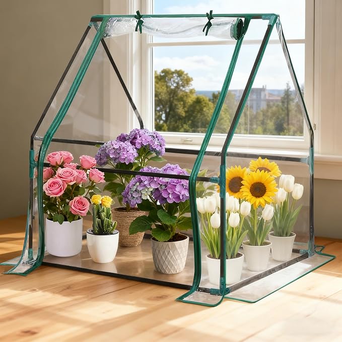 35x35x36 Mini Greenhouse, Portable Green House for Outside, Greenhouses Kit for Outdoor Indoor Thicken PVC Cover (Clear Cover, 2.9x2.9x3 FT)