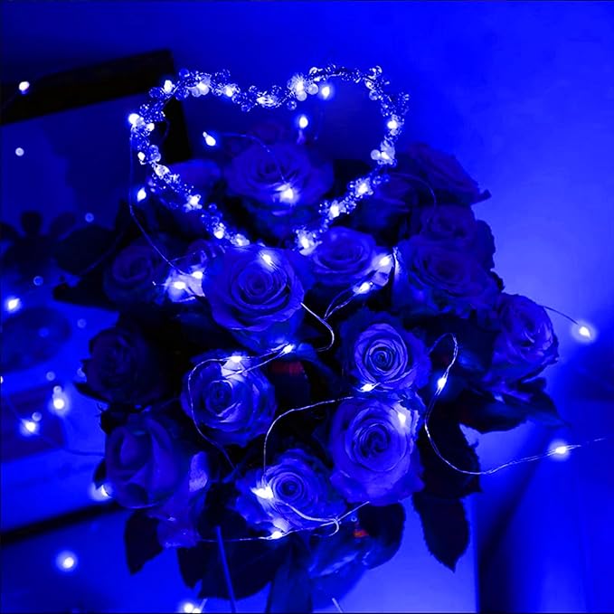 20 Pack Valentine's Lights ,Fairy Lights Battery Operated ,7ft 20 Mini LED Firefly String Lights for Mason Jar ,DIY Parties, Wedding, Bedroom,Easter, Christmas Valentines Day Decoration ,4 Mixed-Color