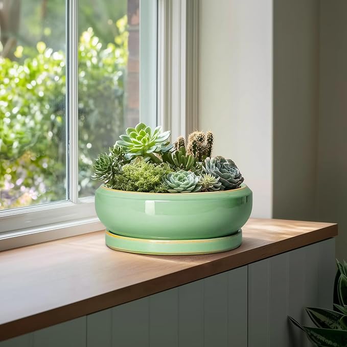 EPFamily Large Bonsai Pots - 13 Inch Ceramic Succulent Pots for Indoor Outdoor, Ceramic Planter with Drainage Hole and Saucer, Shallow Round Planter, Garden Decor, Gifts for Women Men, Light Green