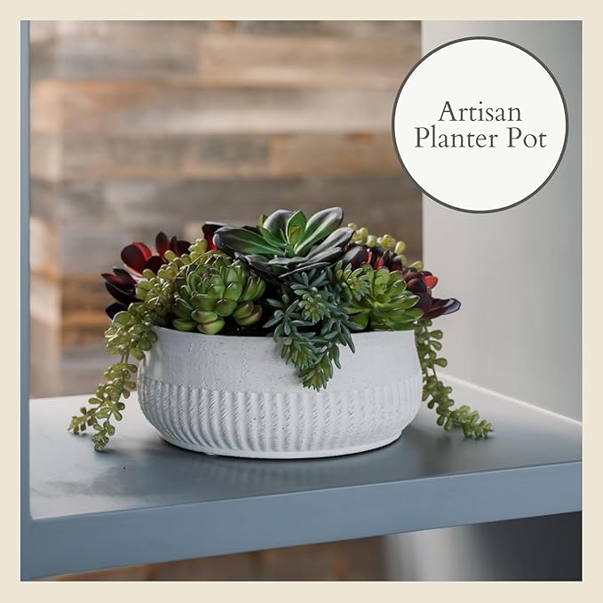 Round Faux Succulent Arrangement, 12" Premium Artificial Indoor Plant Enhances Interior Design, Display on any Surface in Your Home Adding an Inviting Touch of Nature, White Planter Pot Included