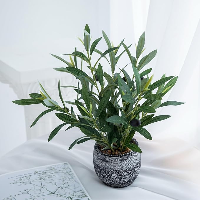 Ewtogift Indoor Faux Olive Plant 12 inch Artificial Silk Leaves in Elegant Planter Perfect Fake Olive Branches with Realistic Trunk and Lifelike Fruits Tabletop Greenery Decor for Home Office