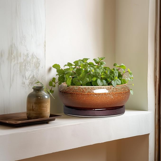 EPFamily Bonsai Tree Pots - 8 Inch Ceramic Succulent Planter Indoor Outdoor, Bonsai Pots with Drainage Hole and Saucer, Shallow Plant Pots, Round Planters, Kitchen Decor, Gifts for Women, Retro Brown