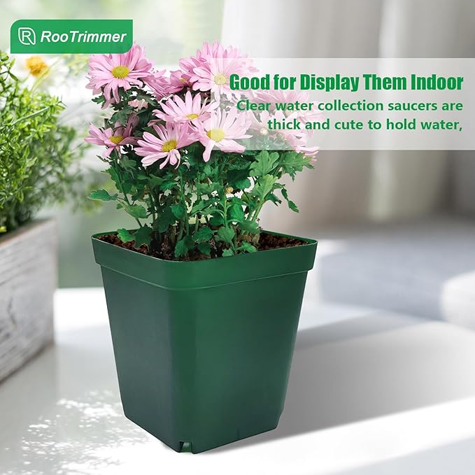 RooTrimmer Square Nursery Succulent Pots 4 Inches 60 Pcs Deep Flower Plant Nursery Seedling Grow Pots Plastic with Drainage (Green, 4Inches, 60Pcs)