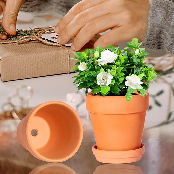 Kosrtuny 3 Inch Terracotta Pots with Saucer-20 Pack Succulent Cactus Plant Pots with Drainage Hole, Great for Plants Garden Windowsill Indoor & Outdoor Wedding Favors Gifts