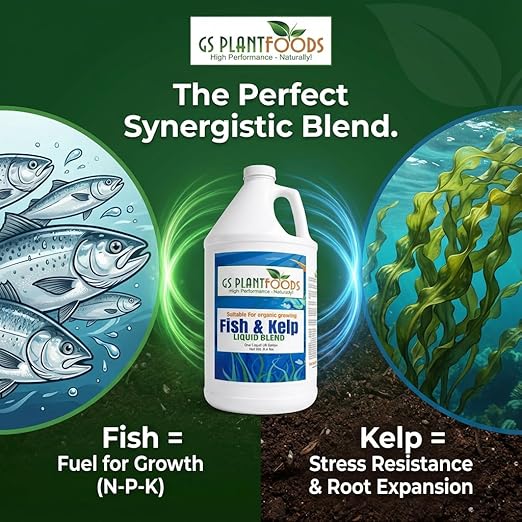 GS Plant Foods Liquid Fish & Kelp Fertilizer (1 Gallon) – Organic Material Review Institute Listed Natural Plant Food for Home Gardens, and Vegetables