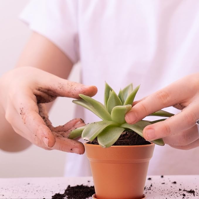 FHWTY 4 inch Plant Pots 16 Pack, Small Plant Pots with Drainage Holes and Tray, Thickened Indoor Planters Seedlings Pots for Flowers, African Violet, Succulent and All House Plants, Terracotta