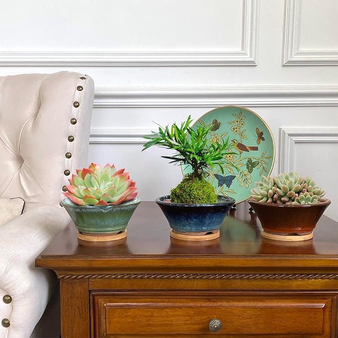 Summer Impressions 6 Inch Glazed Terracotta Succulent Pot Planter Small Plant Pot with Drainage Hole and Bamboo Saucer Cactus Ceramic Pot Set of 3 (Blue Green Orange)