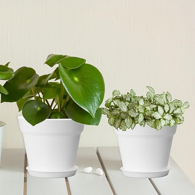 FHWTY 6 Pack Plastic Plant Pots with Drainage Holes and Tray, 7 inch Thickened Indoor Planters Seedlings Nursery Pots for Flowers, African Violet, Succulent and All House Plants, White