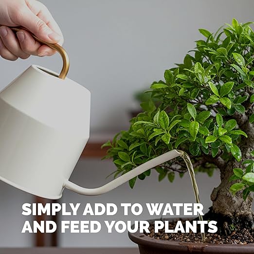 Bonsai Fertilizer for All Bonsai Trees, Great for Root Soaks, Liquid Plant Food 1 Gallon (128 oz)