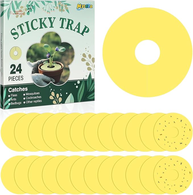 Mysora 24 Pcs Fruit Fly Traps Fungus Gnat Sticky Traps Yellow Round Ring for Pot Plants Indoor Outdoor Mosquito Flying Insects (L)