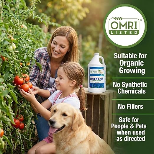 GS Plant Foods Liquid Fish & Kelp Fertilizer (1 Gallon) – Organic Material Review Institute Listed Natural Plant Food for Home Gardens, and Vegetables
