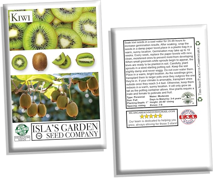Kiwi Seeds for Planting, 30+ Seeds per Packet, (Isla's Garden Seeds), 50-70% Germination in Prime Conditions, Tree/Vine, Scientific Name: Actinidia chinensis, Great Fruit Garden Gift