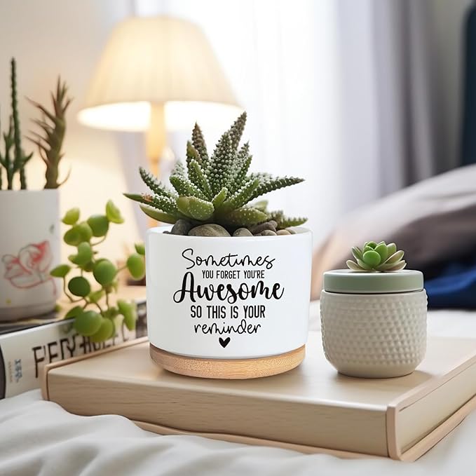 You're Awesome Funny Succulent Plant Pot, Cute 3.5 Inch Small Ceramic Cactus Planter Pot with Drainage, Home Office Desk Decor for Friends Coworker Birthday Christmas Housewarming Gifts (No Plants)
