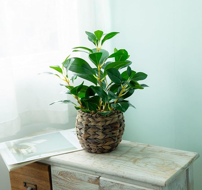 Ainuowei Artificial Vibrant Plants 14.2 inches Tall Fake Outdoor Greenery Plants with Ficus Leaves in Brown Rattan Planter for Indoor Home Office Garden Modern Decoration Ideal Housewarming Gift