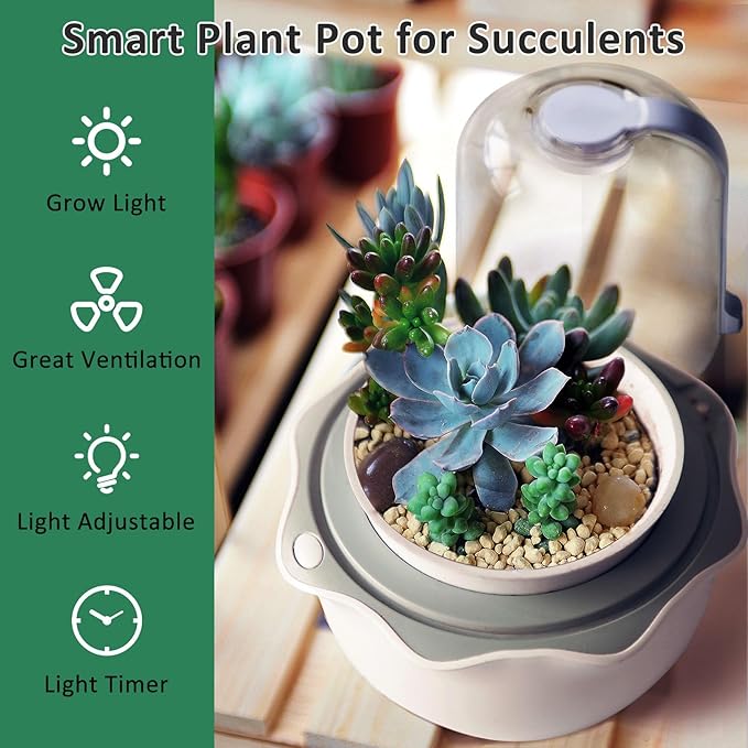 Smart Venus Fly Trap Terrarium Pot with Timer&Fan,Plant Terrarium Kit with Grow Light for Carnivorous,Butterwort, Venus Flytrap,Birthday Plant Gardening Gifts for Women Garden Lover-Planter No Plant