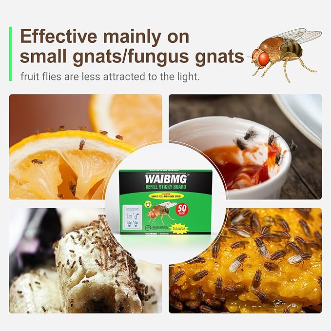 Fruit Fly Trap Covers, Double-Sided Sticky Adhesive Cards for Gnats, Fruit Flies, Moths, Kitchen Insect Control (49Pcs)