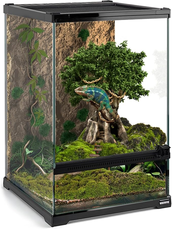 Waazoorep Mini Reptile Glass Terrarium Tank 8"x8"x12“ Full View with Front Opening Door and Enclosure Habitat Cage for Leopard Gecko Tarantula Young Lizard Hermit Crab Frog Insects Breeding Tank