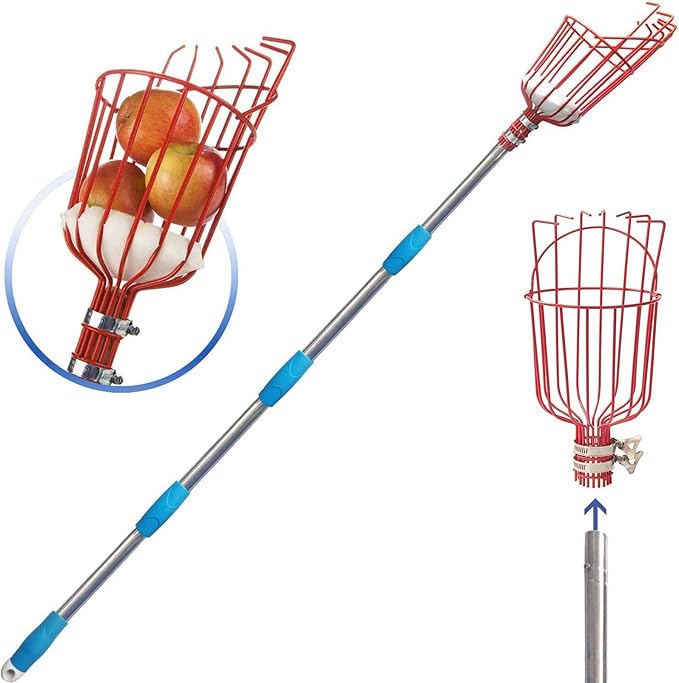 COCONUT Fruit Picker Tool, 5FT Fruit Picker with Basket Adjustable Long Handle, Easy to Assemble & Use Fruits Catcher Tree Picker for Getting Fruits - Ideal for Low & Medium Height Fruit Harvesting