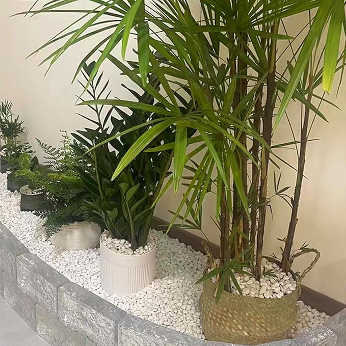FANTIAN 20 lbs White River Rocks for Landscaping, 0.5-1 Inch Pebbles for Indoor Plants, Decorative Stones for Succulent, Cactus, Vases, Aquariums, Crafting and Garden