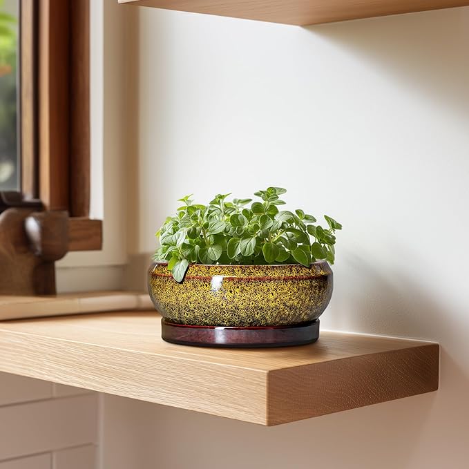 EPFamily Small Bonsai Pots - 6 Inch Ceramic Succulent Planters with Drainage Hole and Saucer, Shallow Round Planter Indoor Outdoor, Cactus Succulent Pots, Living Room Decor, Plant Lover Gift, Yellow